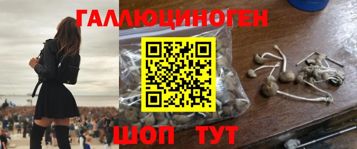 Старая Купавна  Галлюциногенные грибы MAGIC MUSHROOMS  Вход с VPN 